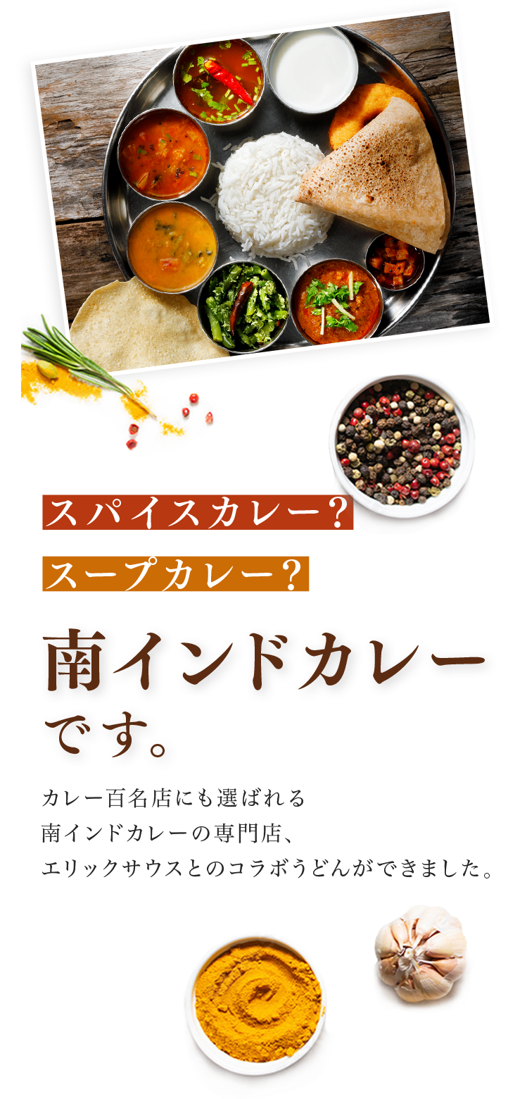 スパイスカレー？スープカレー？ 南インドカレーです。