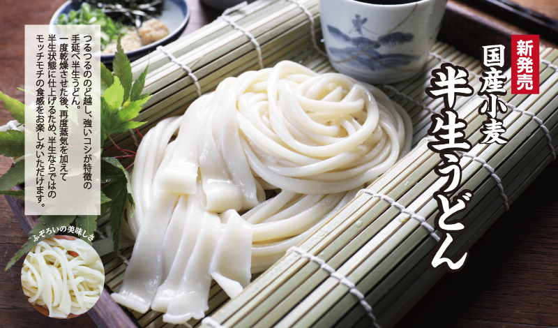 半生うどん